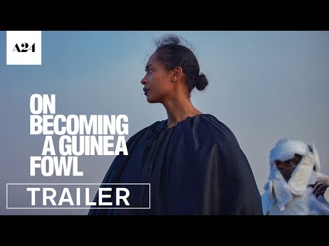 On Becoming a Guinea Fowl'