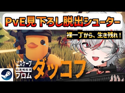 thumbnail_P5EoG7VknuE