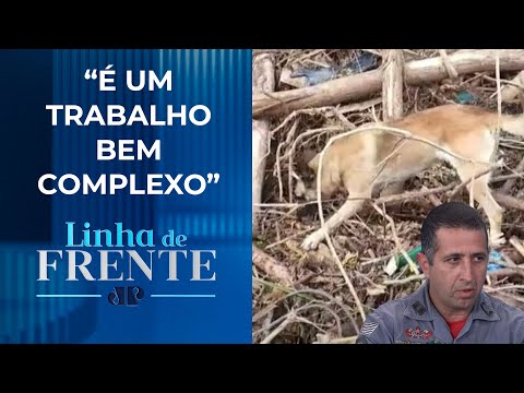 1º sargento da PM explica atuação de cães em desastres e ocorrências | LINHA DE FRENTE