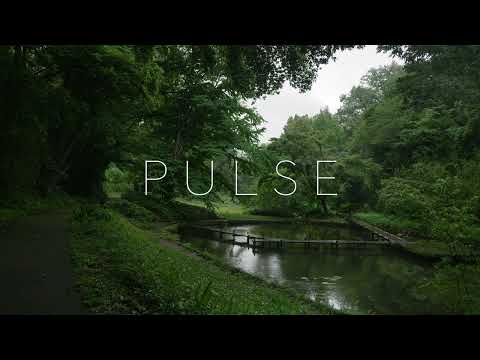 PULSE - CineLike A2 / LUMIX S1IIE