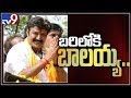 Balakrishna's Five-Days TS election campaign schedule released!