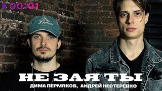Дима Пермяков, Андрей Нестеренко — Не зая ты | Official Audio | 2023