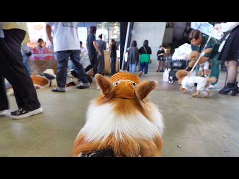 犬達を連れて『プロ野球スタジアム』のペットイベントに参加した結果…【エスコンフィールド北海道】【Fビレッジ】