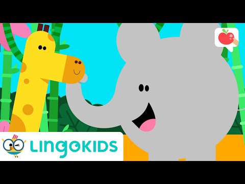 JUNGLE ANIMALS for Kids 🐯 🦍| VOCABULARY, SONGS and GAMES | Lingokids