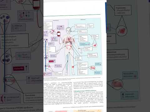 Enhance your clinical knowledge with The Lancet's Clinical Resources