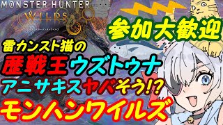 【視聴者参加型】モンスターハンターワイルズ077【VTuber】