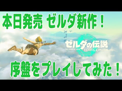 本日発売『ゼルダの伝説 ティアーズ オブ ザ キングダム』序盤をプレイ！【ピョコタン】