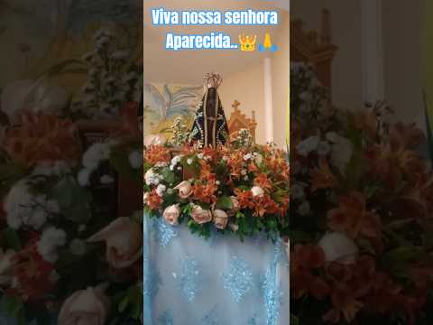 Viva Nossa senhora Aparecida..#fé #padroeira #nossasenhoraaparecida #mãeaparecida #rainha #shorts