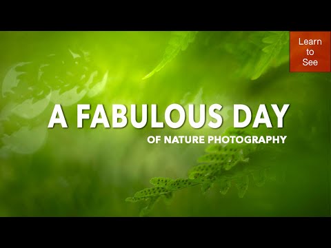 One walk, three beautiful discoveries | Nature Photography