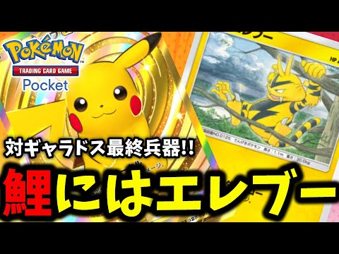 【ポケポケ】対ギャラドス最終兵器!!『それなりのエレブー』ギャラドスデッキ相手には猛威を振るうぜ!!【Pokémon Trading Card Game Pocket】