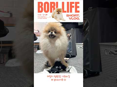 양말 놀이 증~말 재밌당