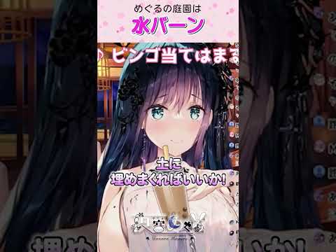 thumbnail_P6v5Qtb1l9g