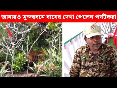 আবারও সুন্দরবনে বাঘের দেখা পেলেন পর্যটকরা সুন্দরবনে বাঘের সংখ্যাও বৃদ্ধি পেয়েছে বলে দাবী বনদফতরের।