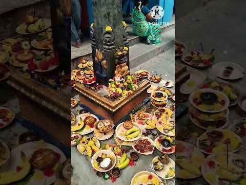 kartheeka masam special pooja #kartheekamasam #shivayya #pooja #kartheekadeepam #mondaymotivation #💕