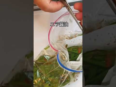 ニラ醤油 #料理