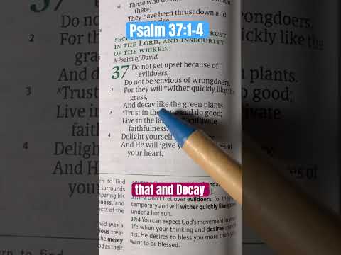 Psalm 37:1-4 #jesusisgod #jesusislord #trustgodbro #delight #faithoverfear #prayerworks #bibleverse
