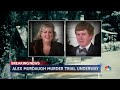 Alex Murdaugh’s alibi contradicts evidence, state contends  - 02:36 min - News - Video
