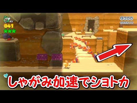 【マリオ3Dワールド】バグ加速でショートカット「マリオチャレンジ」配信録画【2025/08/23】