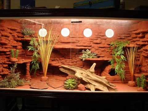 Is Acrylic Paint Toxic >> Custom Bearded Dragon Viv - YouTube Is Acrylic Paint Toxic >> Custom Bearded Dragon Viv - YouTube