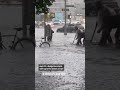Heavy rain floods New York City