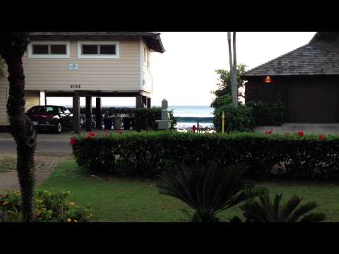 Property video