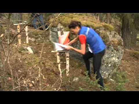 Tiomila damer 2010