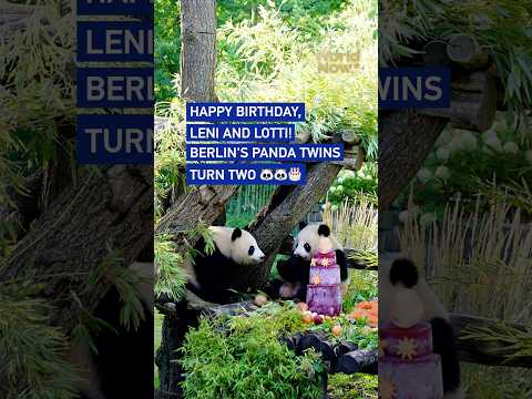 Happy birthday, Leni and Lotti! Berlin's panda twins turn two #worldnow