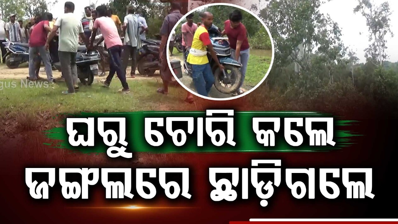 Stolen Scooty Found Abandoned Inside Jaibandha Forest In Udala | Argus News