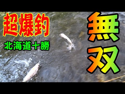 2025.7.25　空前の爆釣に遭遇　トラウト王国北海道十勝の釣り　つり部会ガイドサービス