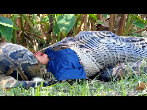 Harvesting agricultural products and taking them to the market to sell - Daily life