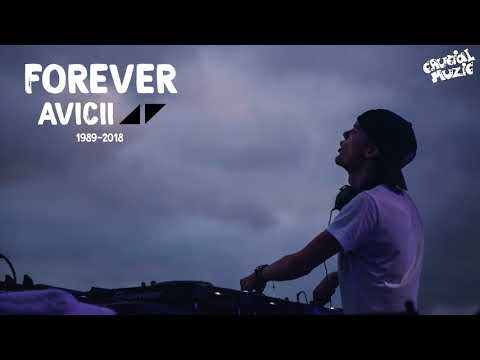 Kygo x Sandro Cavazza - Forever Yours (Avicii tribute)