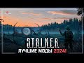 S.T.A.L.K.E.R.  - 5   2024 !