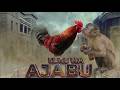 KUKU WA AJABU 12