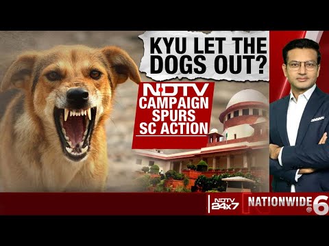 Stray Dog Attack | 8-Day Deadline For Dog-Free Delhi: Big Top Court Order On Stray Dog Menace