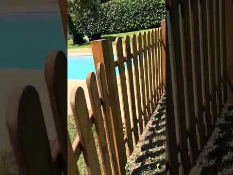 Video realizado por la propiedad