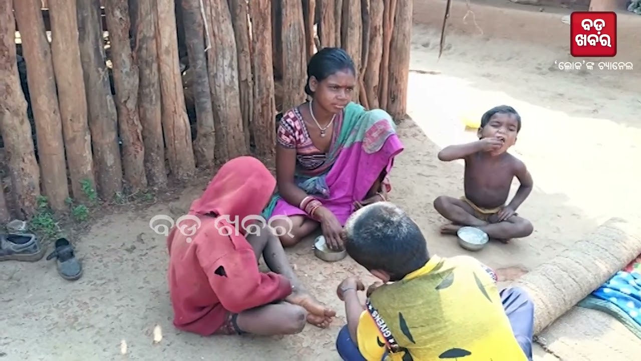 ମୌଳିକ ସୁବିଧାରୁ ବଞ୍ଚିତ ଆଦିବାସୀ ପରିବାର || BADAKHABAR TV