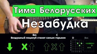 Тима Белорусских - Незабудка (Разбор песни на гитаре: Аккорды и бой)