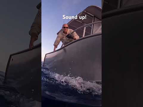 Full 2 days worth of footage like this being dropped 4pm Perth time!!