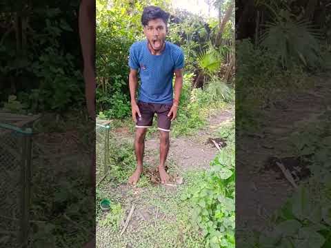 Keterampilan😯 Bertahan Hidup: Ide CERDAS dan BERMANFAAT dengan ibu tunggal#bushcraft #berkemah