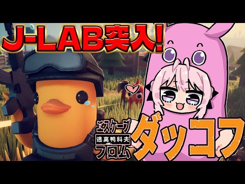 【エスケープ フロム ダッコフ】面白すぎて無限に遊べる！J-LAB突入！全ロスで罰ゲーム!?【博衣こより/ホロライブ】