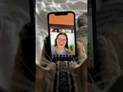 Así de fresco puedes recibir clases #ingresoalau #ingresoalauniversidad #humor