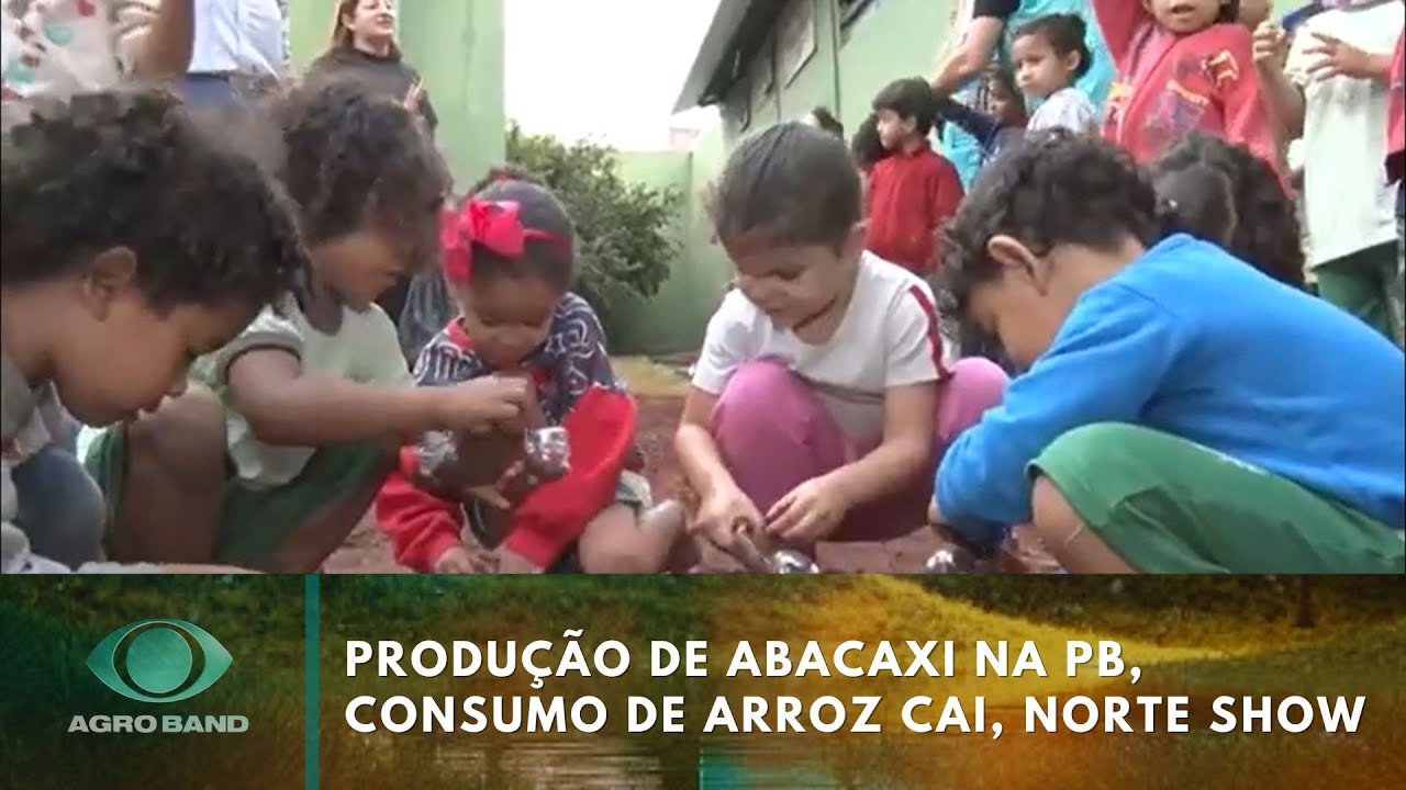 Creche em Goiás ensina plantio à crianças  TV Online Creche em Goiás ensina plantio à crianças