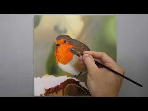 How to paint a Robin | Time Lapse | Episode 153