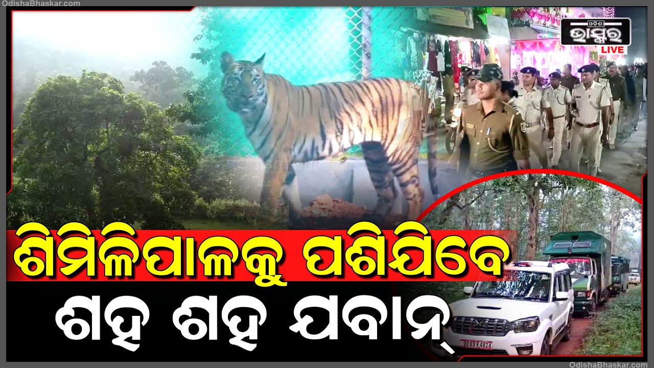 ଶିମିଳିପାଳ ଅଭୟାରଣ୍ୟର ବଢ଼ିଲା ସୁରକ୍ଷା...ମୁଖ୍ୟ ଶାସନ ସଚିବ ଅଧ୍ୟକ୍ଷତାରେ ଅନୁଷ୍ଠିତ ବୈଠକରେ ନିଆଗଲା ନିଷ୍ପତି