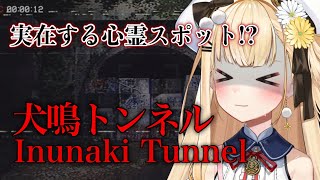 〖 犬鳴トンネル 〗活動終了前に実在する心霊スポット探索するぞ・・・！う・・・うおおおお！【茉白モモナ/新人Vtuber】