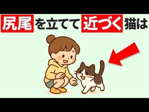 猫の動画サムネイル - 【保存版】猫が本気で信頼してる時にだけする行動6つ #猫 #雑学 #豆知識  #トリビア