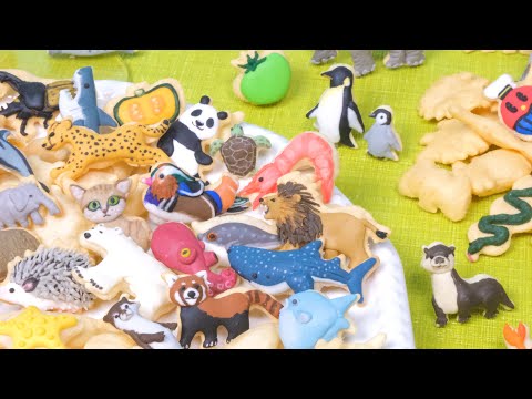 おっとっとをカラフルな生き物たちに変身させてみた🦁🐧🦈🦡🐙