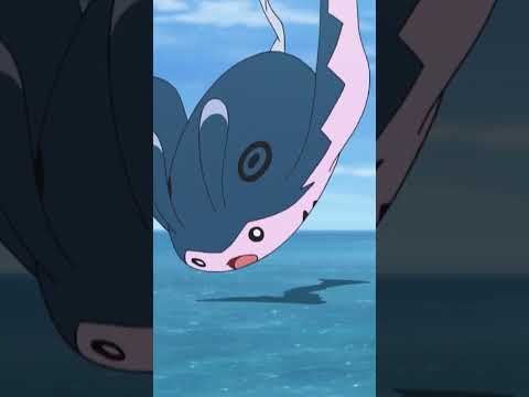 Pokemon TCG News
