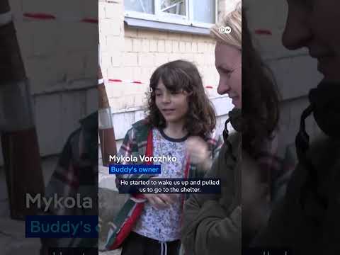 Dog saves owners from russian drone attack | DW News