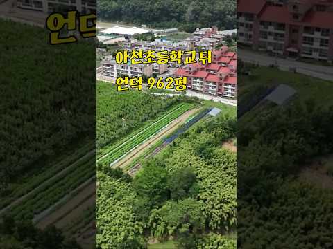 유튜브이미지